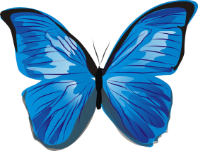 Blue Butterfly HD PNG Images Free