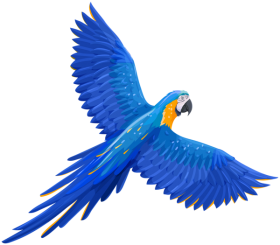 blue Parrot Transparent Free PNG