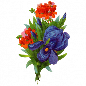 Bouque Flowers PNG free Download Full HD
