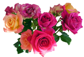 Bouquet Flowers PNG For Editing