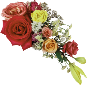 Bouquet Flowers PNG Transparent