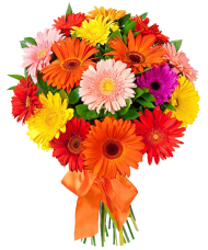 Bouquet Flowers PNG Transparent