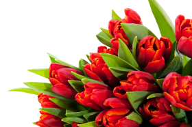 Bouquet Flowers PNG Transparente