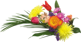 Bouquet Flowers PNG Transparente