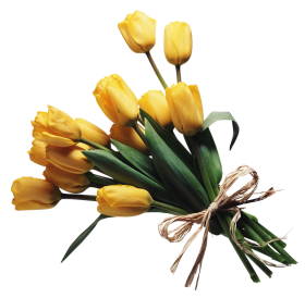Bouquet Of Yellow  Flowers Png Images