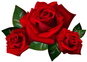 Bouquet Red Rose Flower PNG Image
