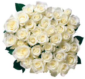 Bouquet White Gulab Flowers Png