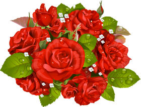 Bunch Of Flowers Images PNG