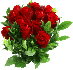 Bunch Of Red Rose Flowers Images PNG