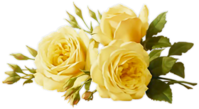 Bunch Of Yellow Flowers Images PNG