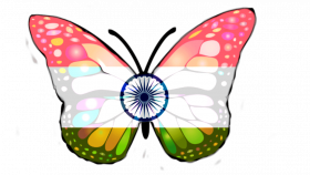 Butterfly Indian Flag Logo Png Images Free Download