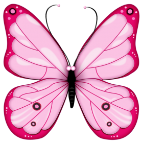 Butterfly PNG Images For Photo Editing
