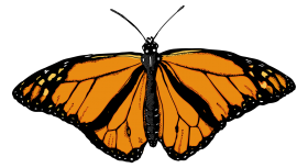 Butterfly Yellow Color PNG Images