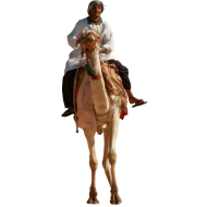 Camel Man Riding PNG Image
