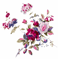 Chinese Flower PNG Transparent Image