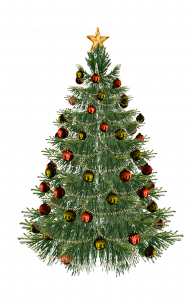 Christmas Tree PNG Download Full HD Free