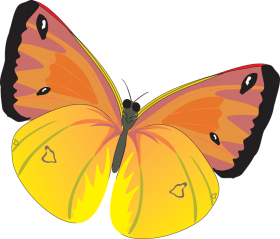 Clipart Butterfly Flying PNG Images