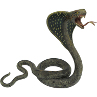 Cobra Snake Transparent HD PNG