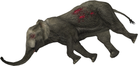 Dead Elephant Png Images Download