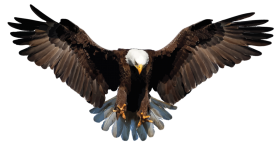 Diving Eagle PNG Clipart Full HD
