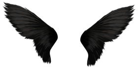 Dragon Wings PNG Pic Images Full HD