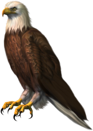 Eagle PNG Clipart Image Full HD