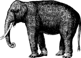 Elephant Drawing Png Download