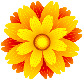 Flower Vector Yellow PNG Full HD
