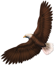 Flying Eagle Transparent Free PNG Hd