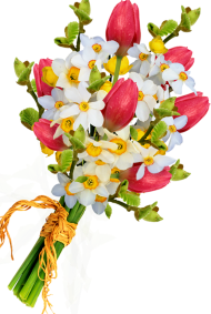 Full HD Flowers Bouquet PNG Image