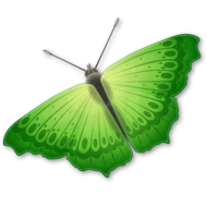 Green Butterfly Full HD PNG Images