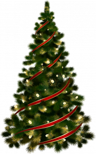 Green Christmas Tree Png Free Download