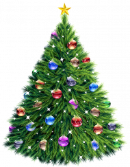 Green Christmas Tree Png Free Download