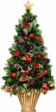 Green Christmas Tree Png Free Download