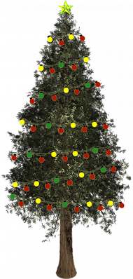Green Christmas Tree Png Free Download