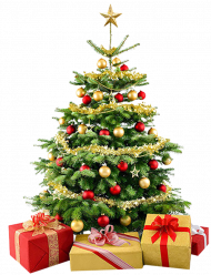 Green Christmas Tree Png Free Download