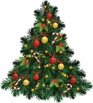 Green Christmas Tree Png Free Download