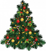 Green Christmas Tree Png Free Download