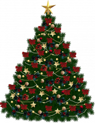 Green Christmas Tree Transparent Image HD