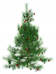 Green Christmas Tree Transparent Image HD