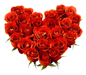 Heart Red Rose Flower PNG Images