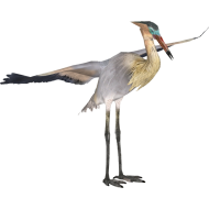 Heron Background PNG Image hd
