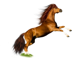 Horse Running Transparent PNG Images
