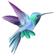Hummingbird Flying Tattoos Transparent Free PNG