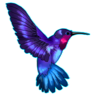 Hummingbird Tattoos Free PNG