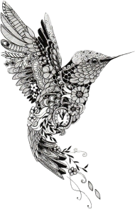 Hummingbird Tattoos PNG HD Quality