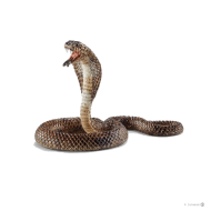 King Cobra PNG Clipart Full HD
