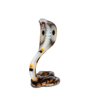 King Cobra PNG HD Quality Download