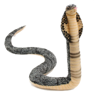 King Cobra PNG Photos Download