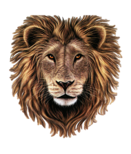 Lion Logo Transparent PNG